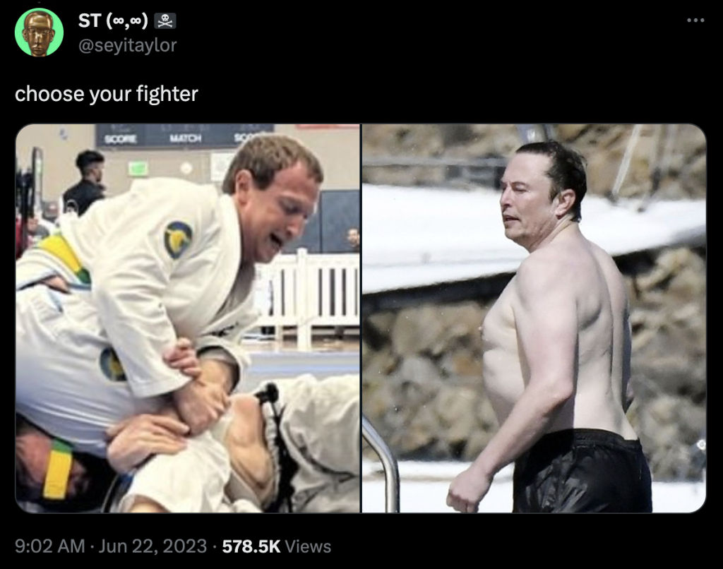 Musk vs. Zuckerberg: The tech CEO brawl that could possibly happen