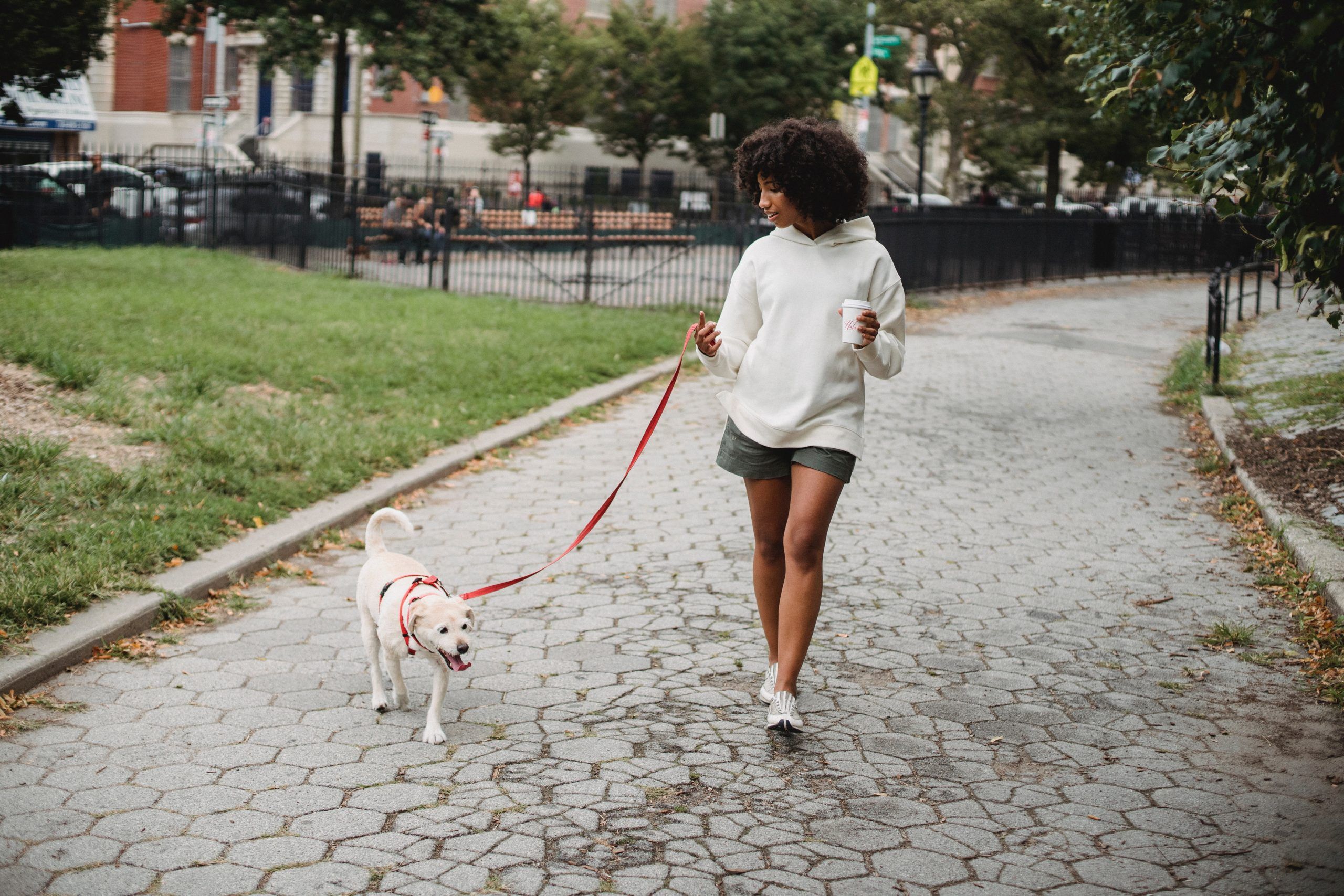 Гулять это. Гулять с собакой. Собачка на прогулке. Девушка гуляет. Поводок для собак.