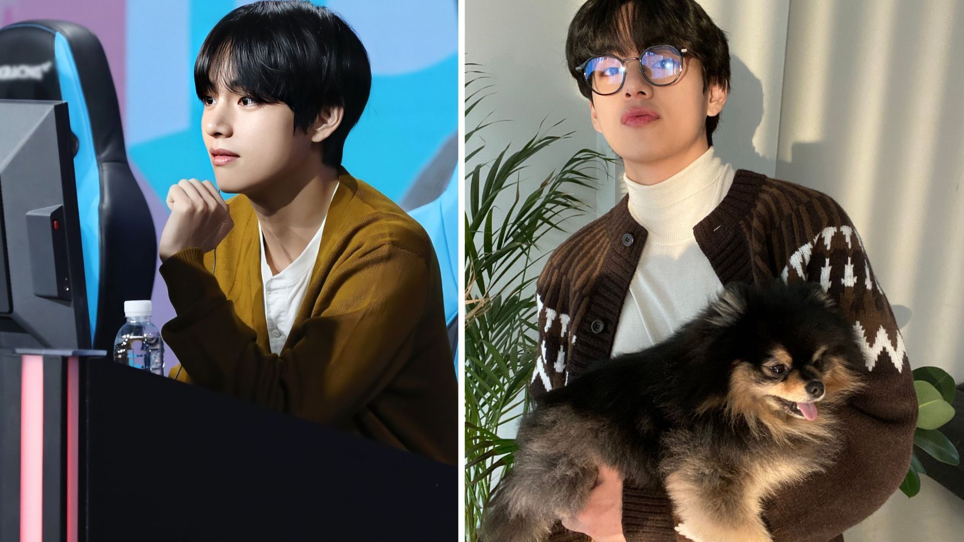 BTS's V's dog Yeontan debuts in his solo song Rainy Days - But is