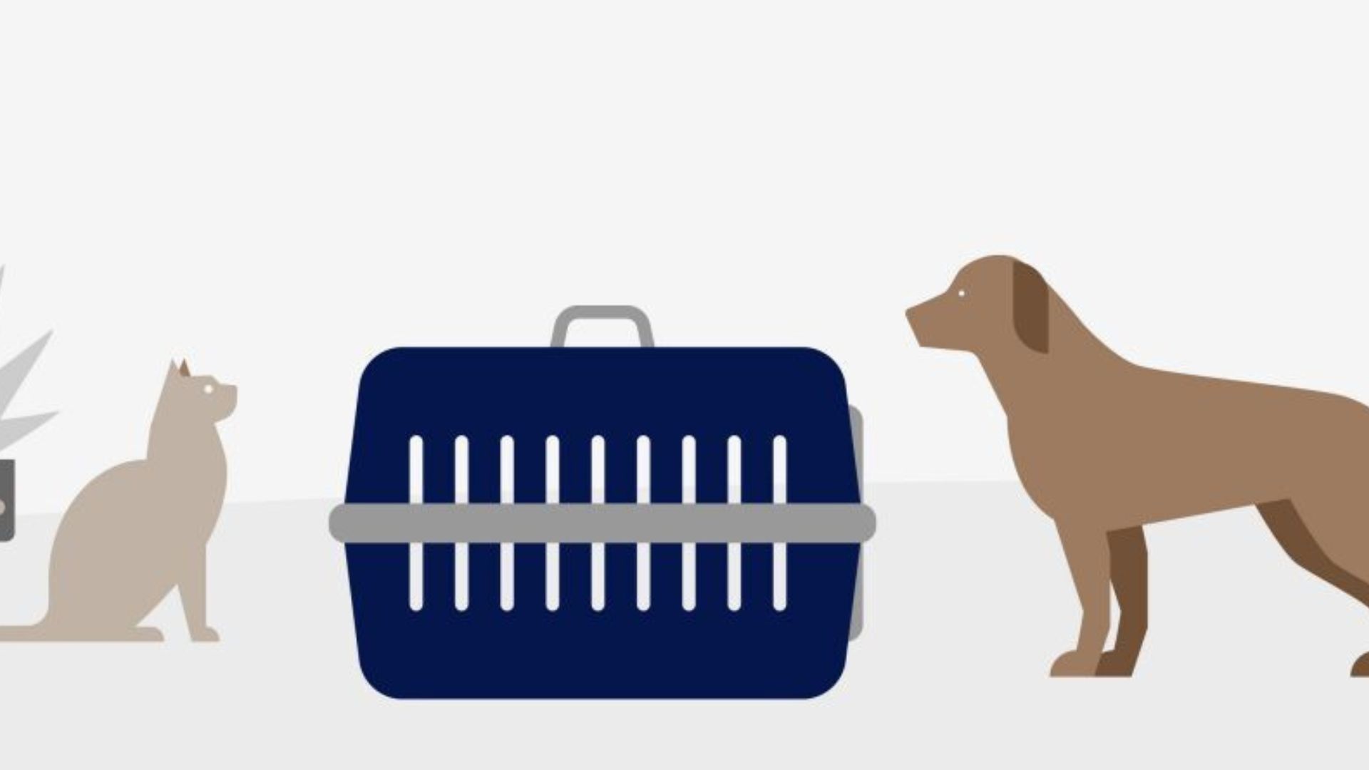 Pet friendly airlines
