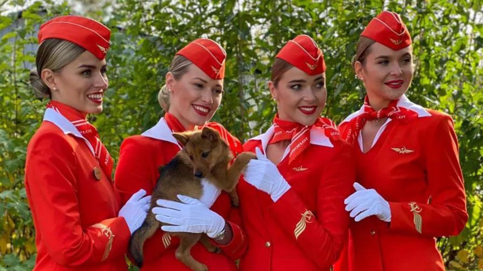 Pet friendly airlines