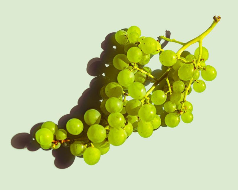 health benefits of grapes