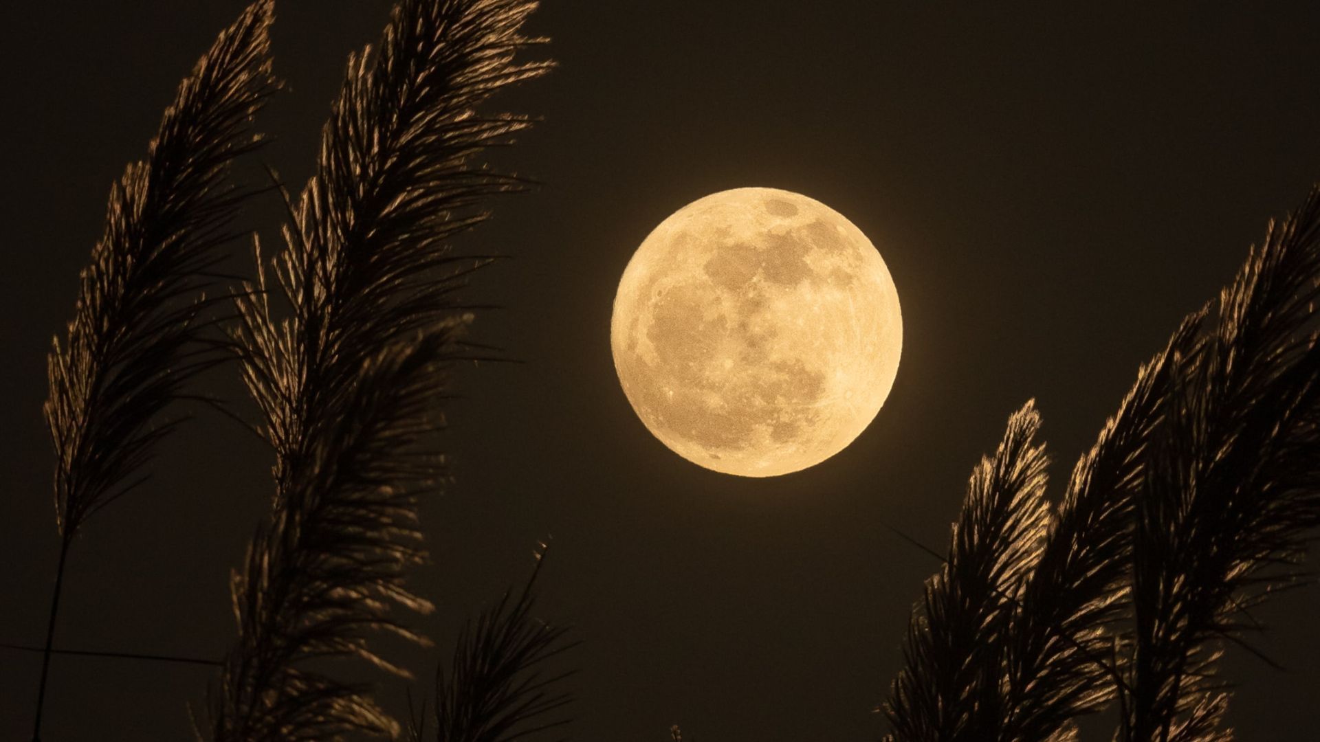 Full Beaver Moon- names