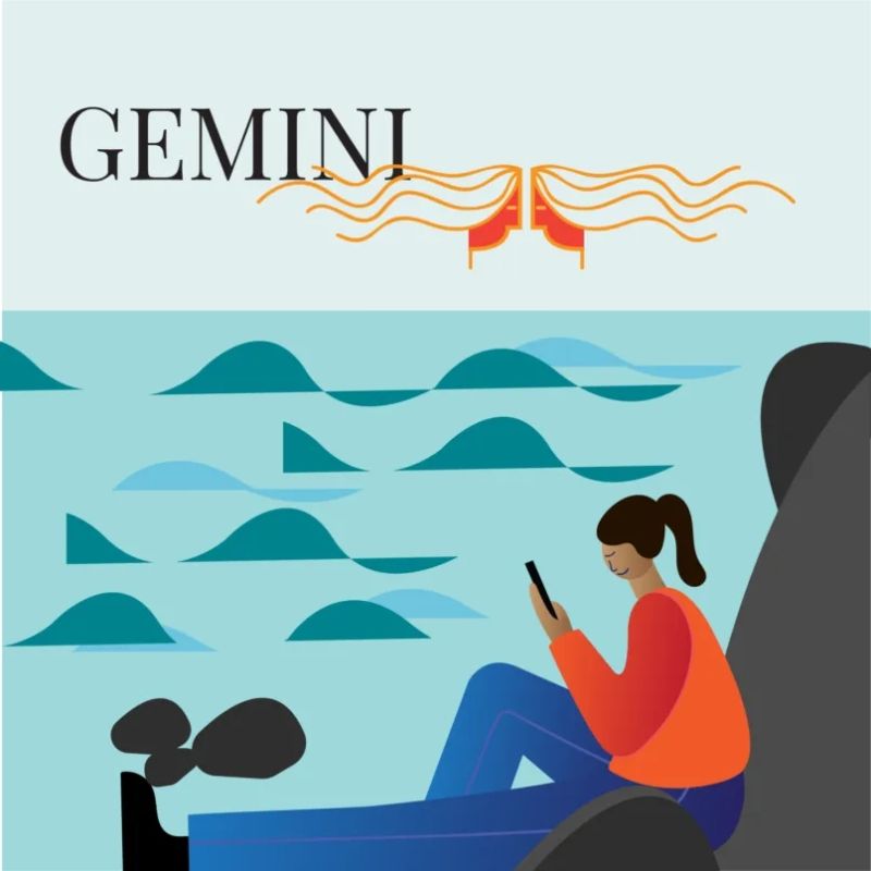 Gemini zodiac sign