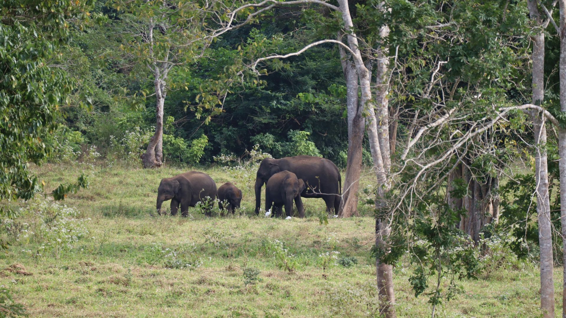 thailand national parks