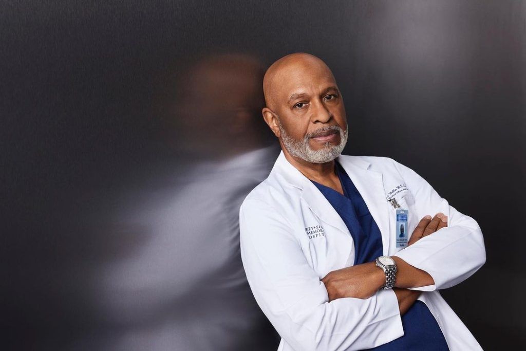 Grey's anatomy season 20 new cast - james pickens jr