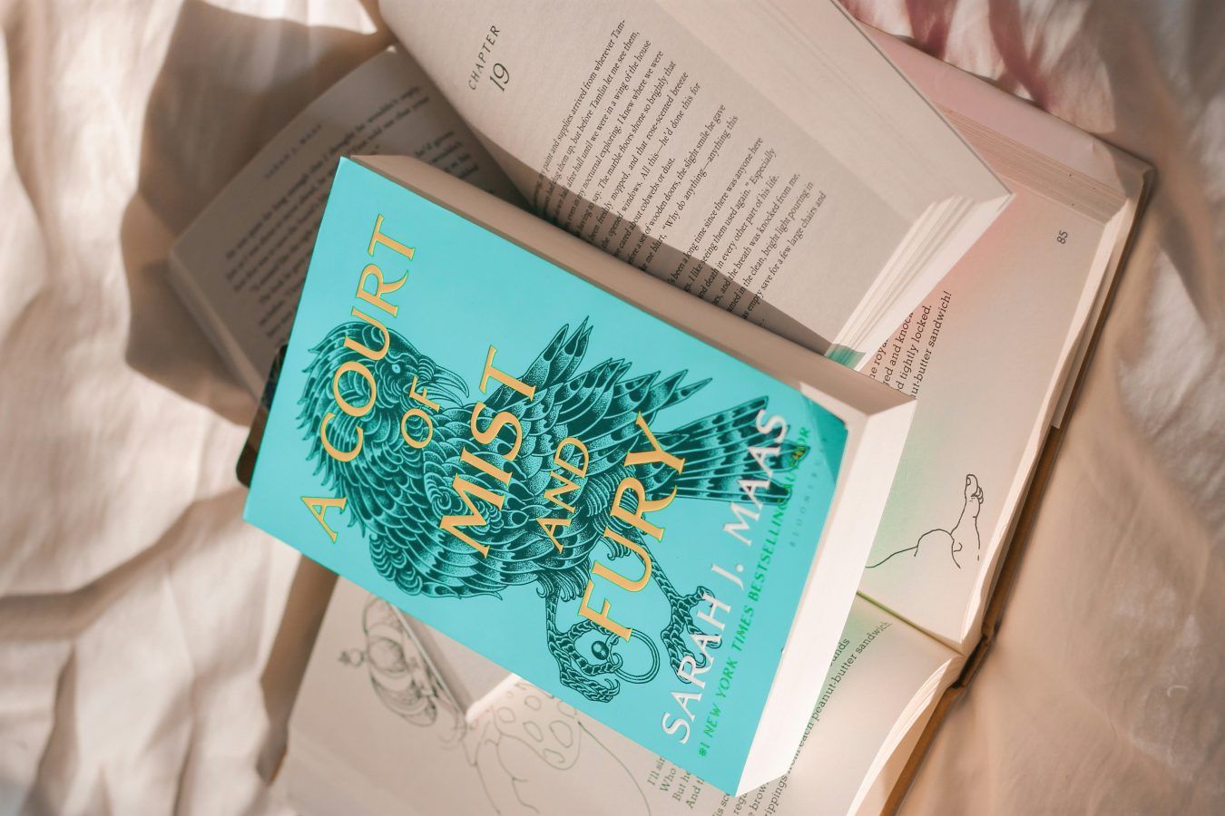 A Court of Thorns and Roses Why everyone's reading the ACOTAR series