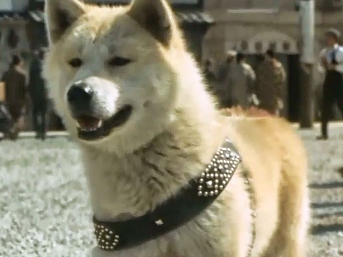 Seks porno birodarlar uxlayotgan opani sikish