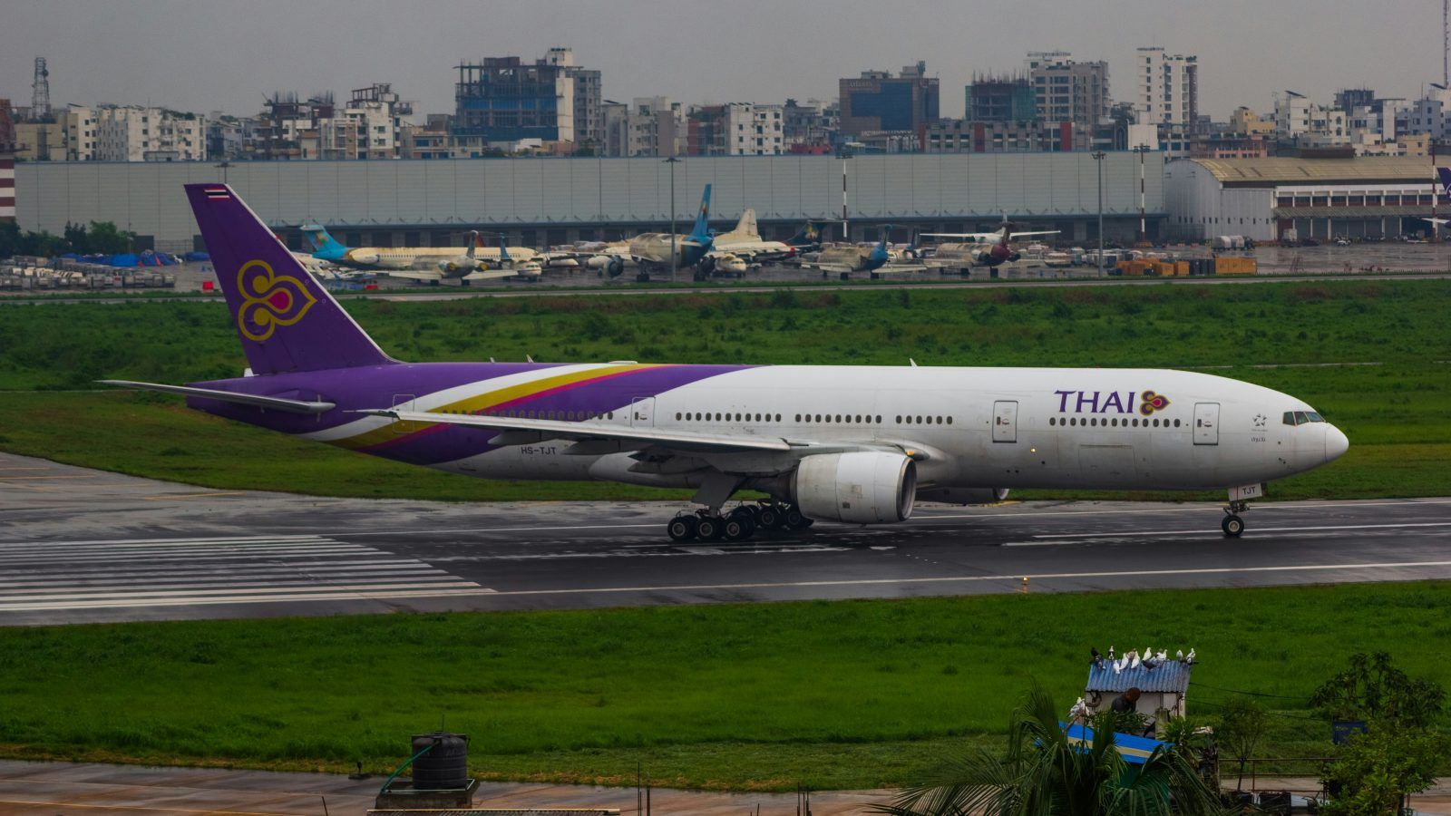 Thai Airways is launching special discounts for monks, students, and seniors