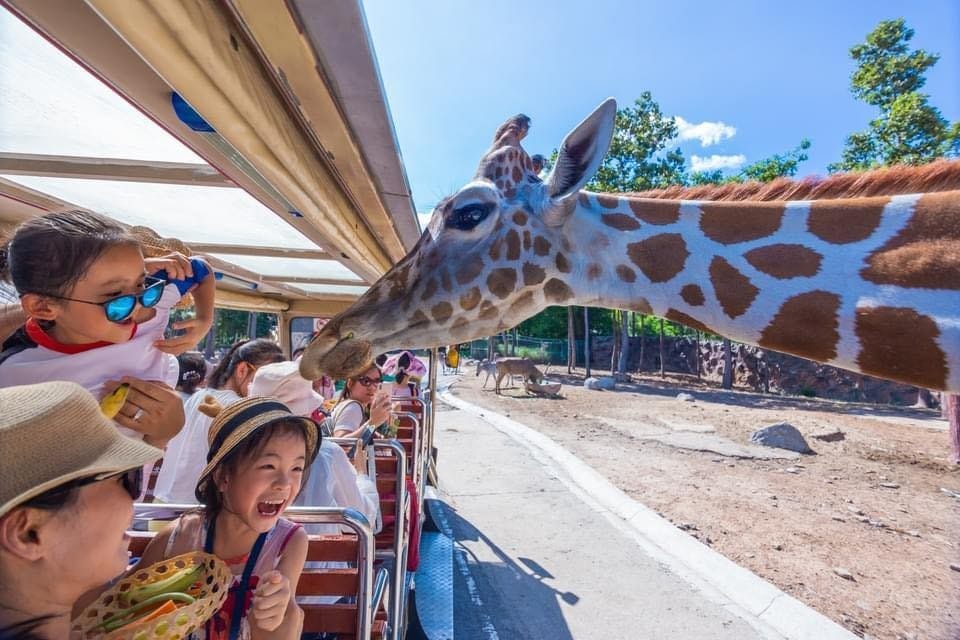 Chiang Mai Night Safari guide: All you need to know before you visit