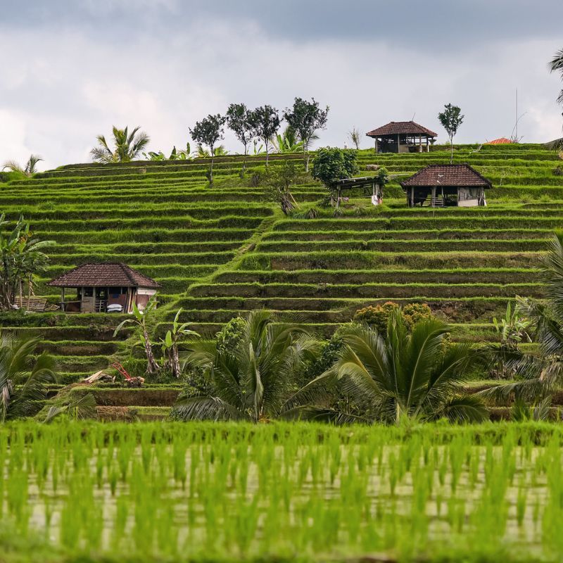 Bo Suak Village in northern Thailand wins tourism award by United Nations