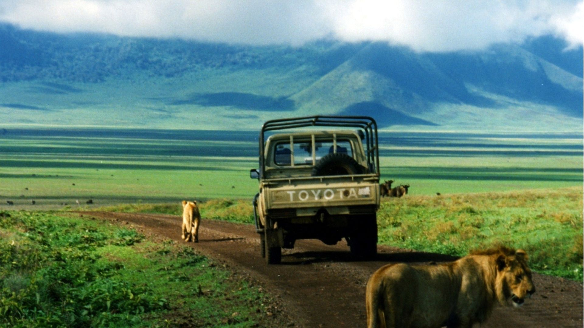 Ngorogoro