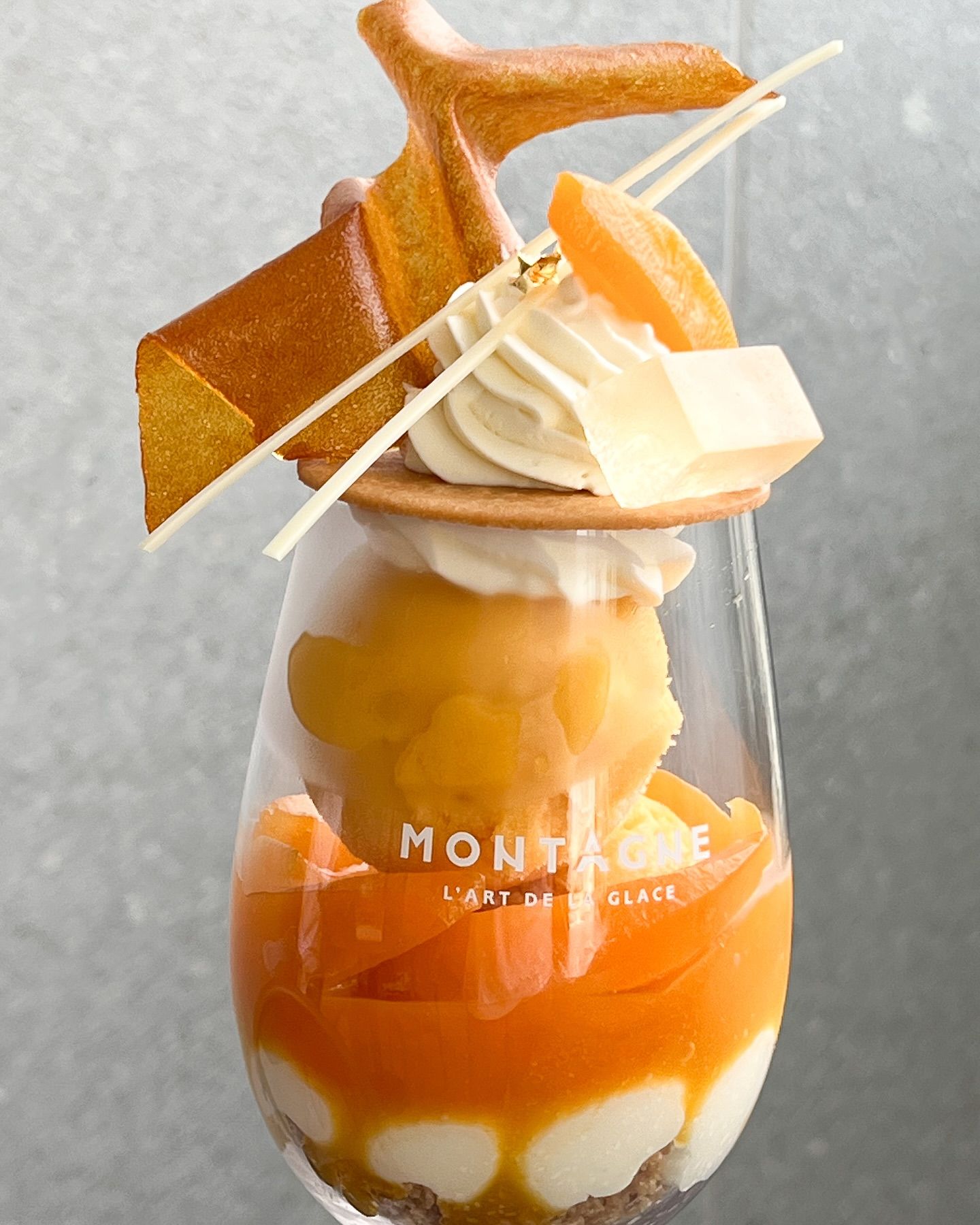 mayongchid-season-where-to-find-the-best-marian-plum-desserts