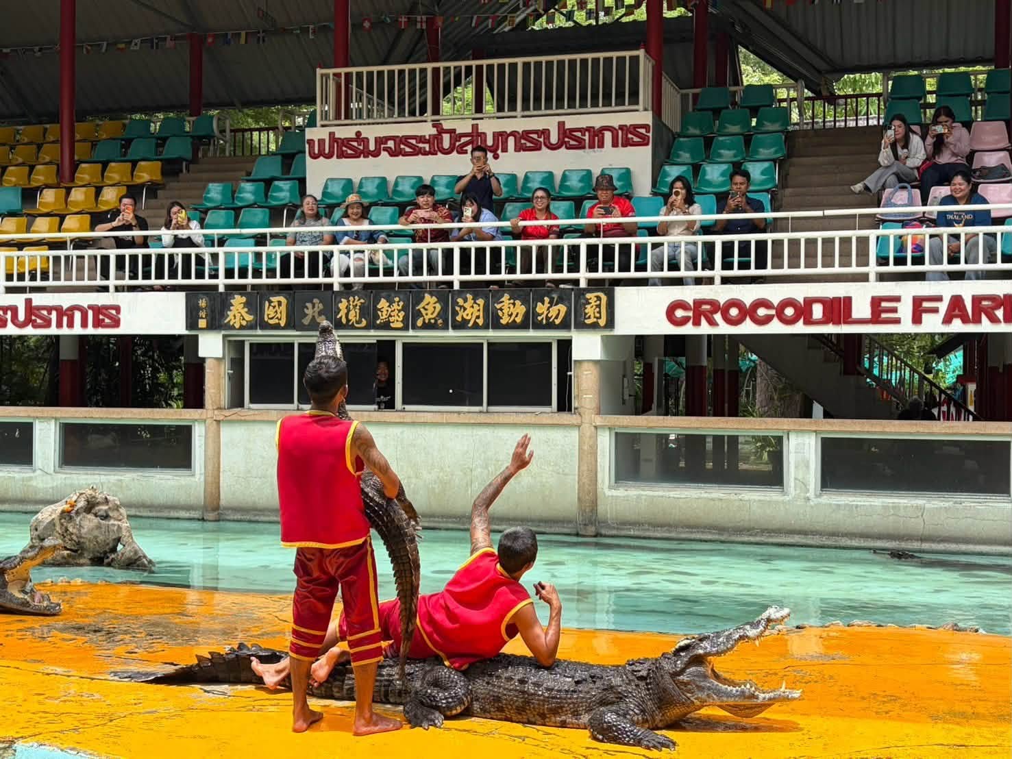 Why is this Thai zoo going viral?
