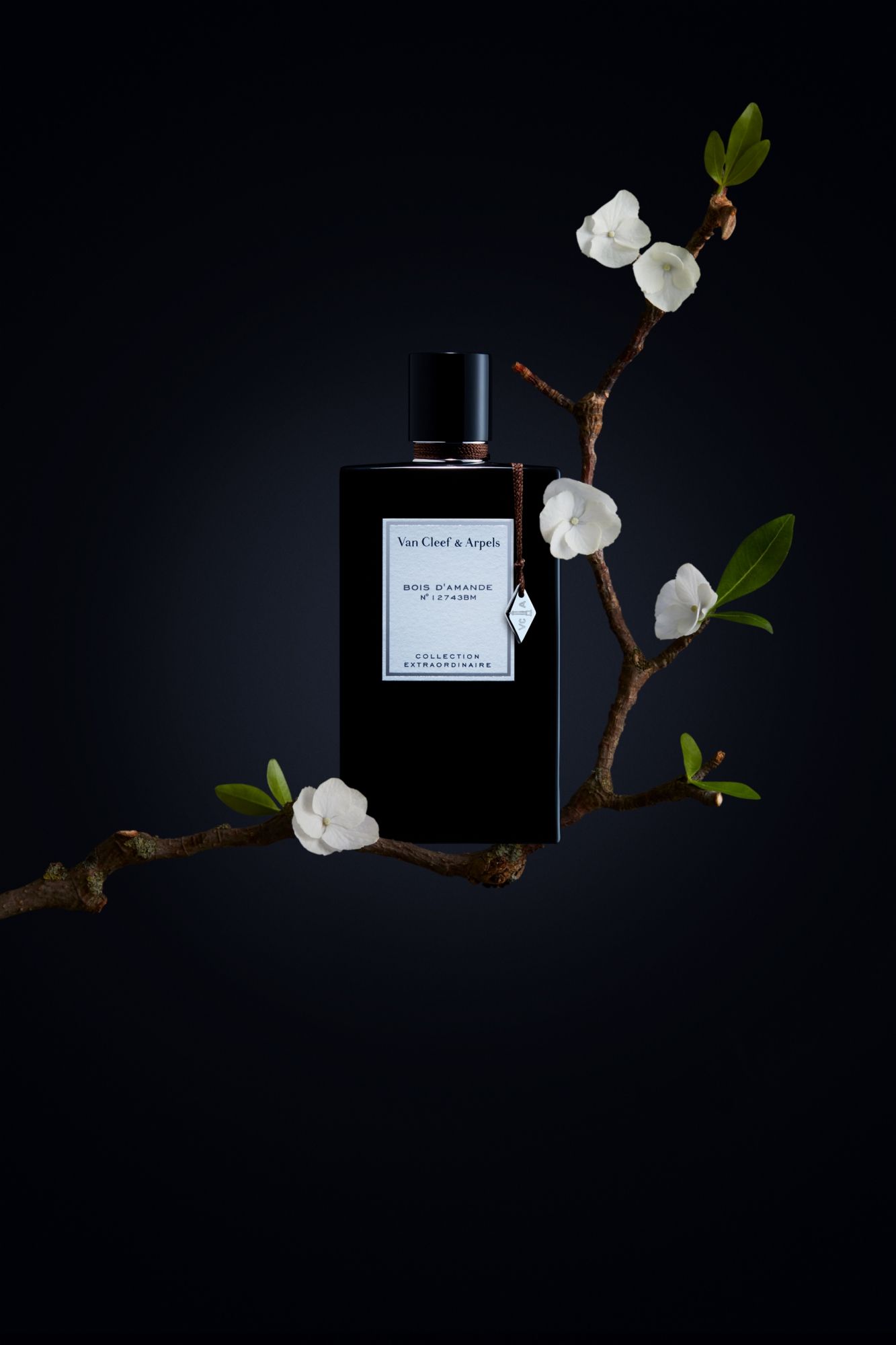 Van Cleef & Arpels adds Bois d'Amande to its woody fragrance collection