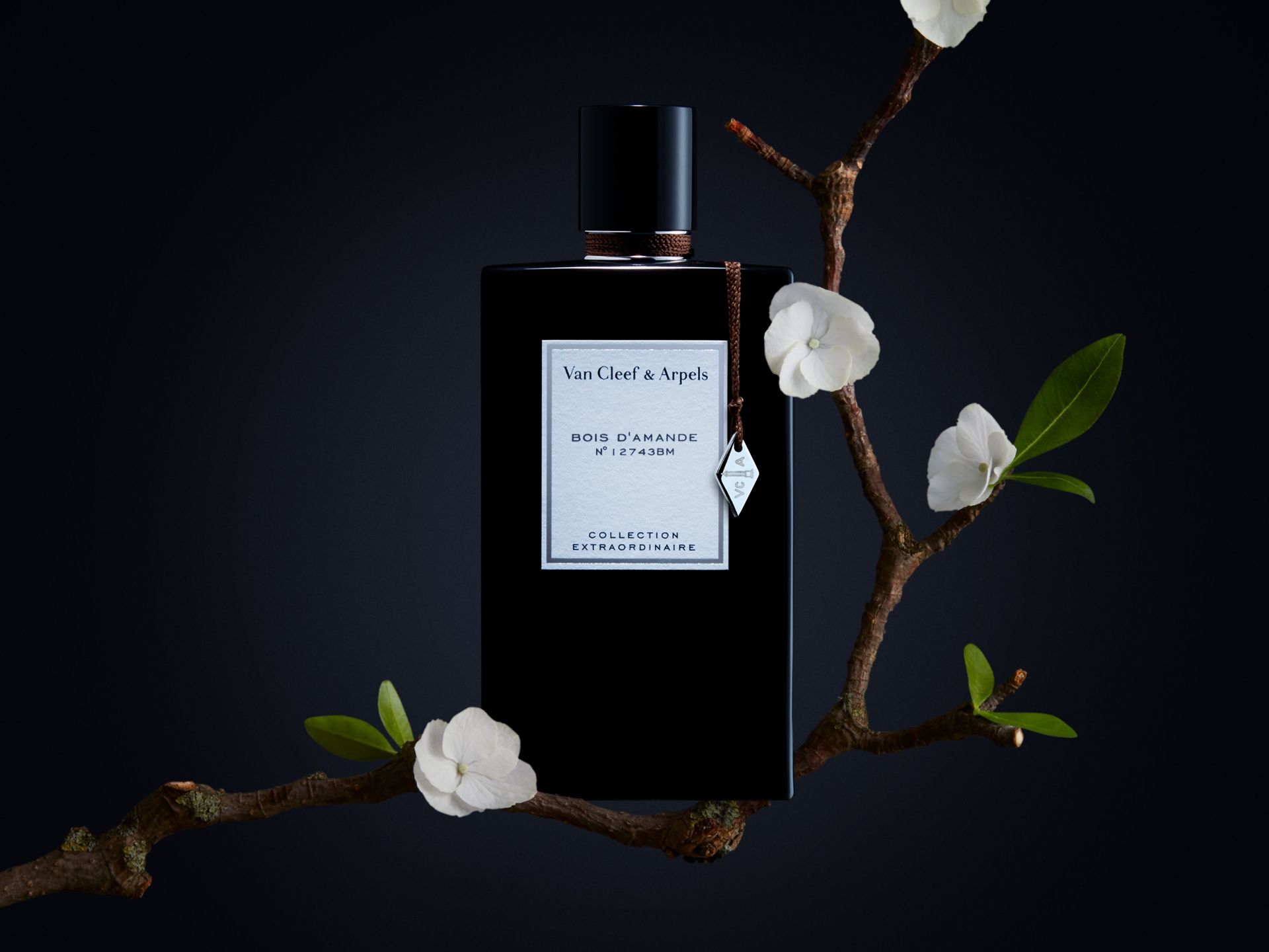 Van Cleef & Arpels adds Bois d'Amande to its woody fragrance collection