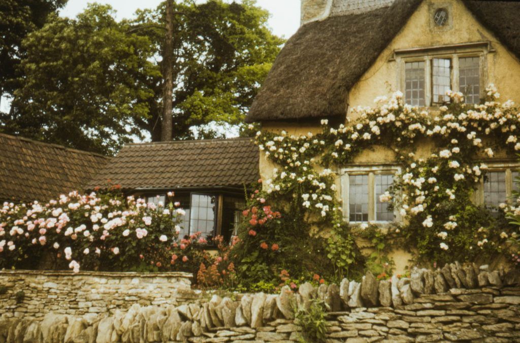 Move aside, hygge — cottagecore is the new lifestyle aesthetic of choice
