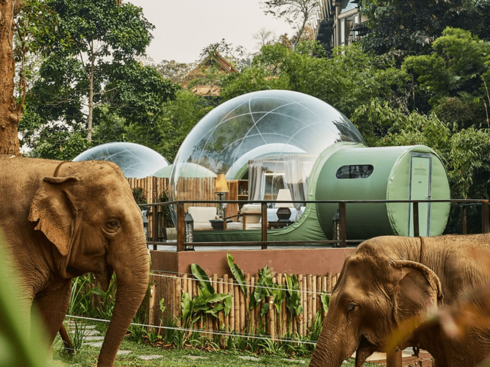 Eco-Friendly Hotels That Use 100% Renewable Energy