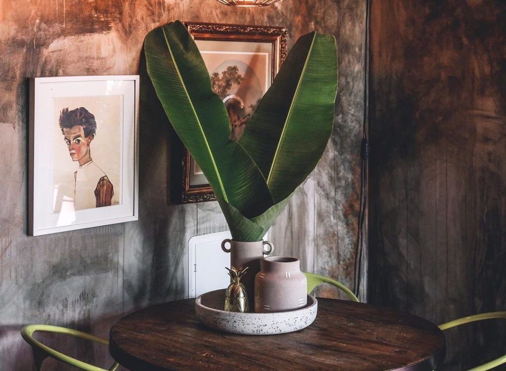 Move aside, influencers. Plantfluencers are the budding trendsetters on social media