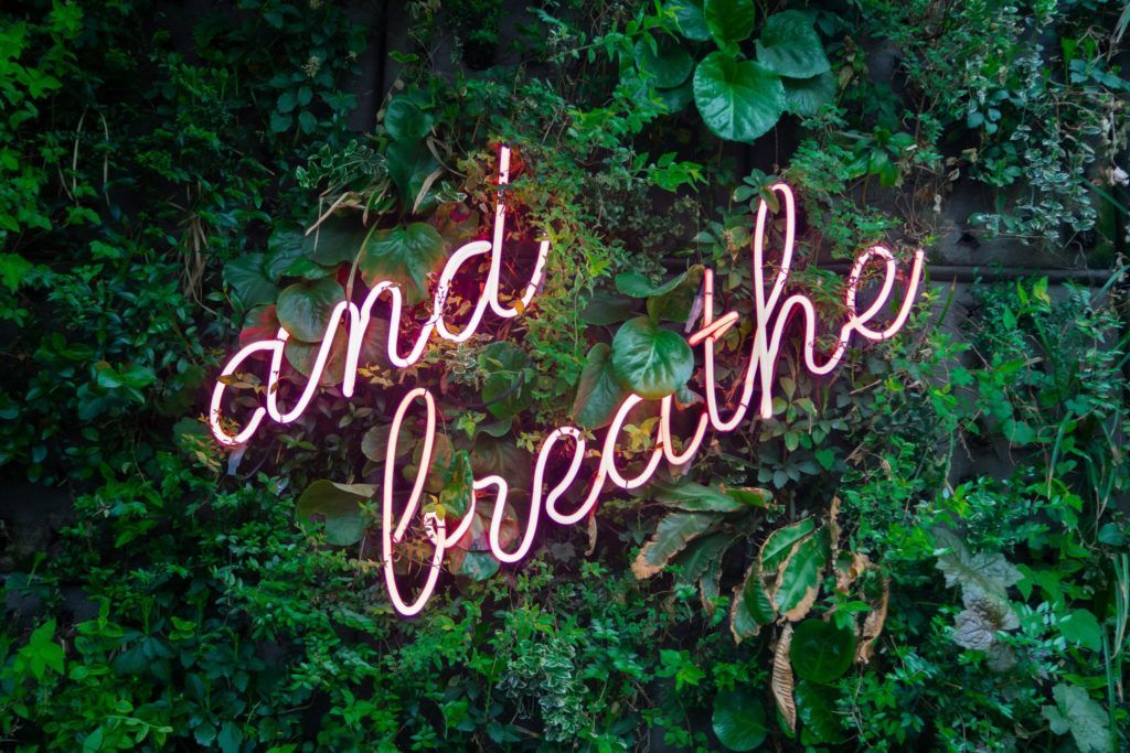 If entertainment is giving you anxiety, you may want to try “calmtainment” instead