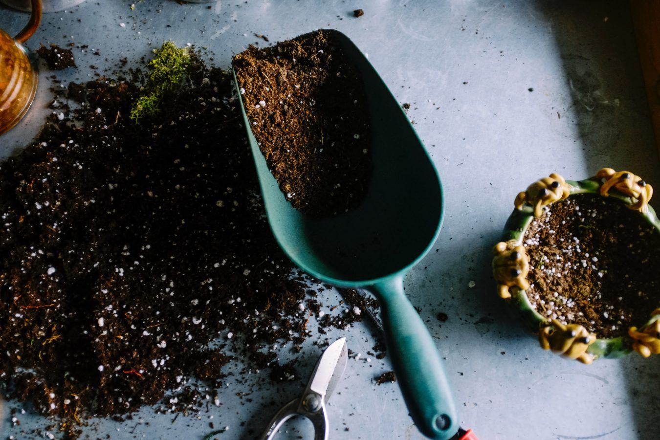 Turn your face masks into flowers by planting them after every use