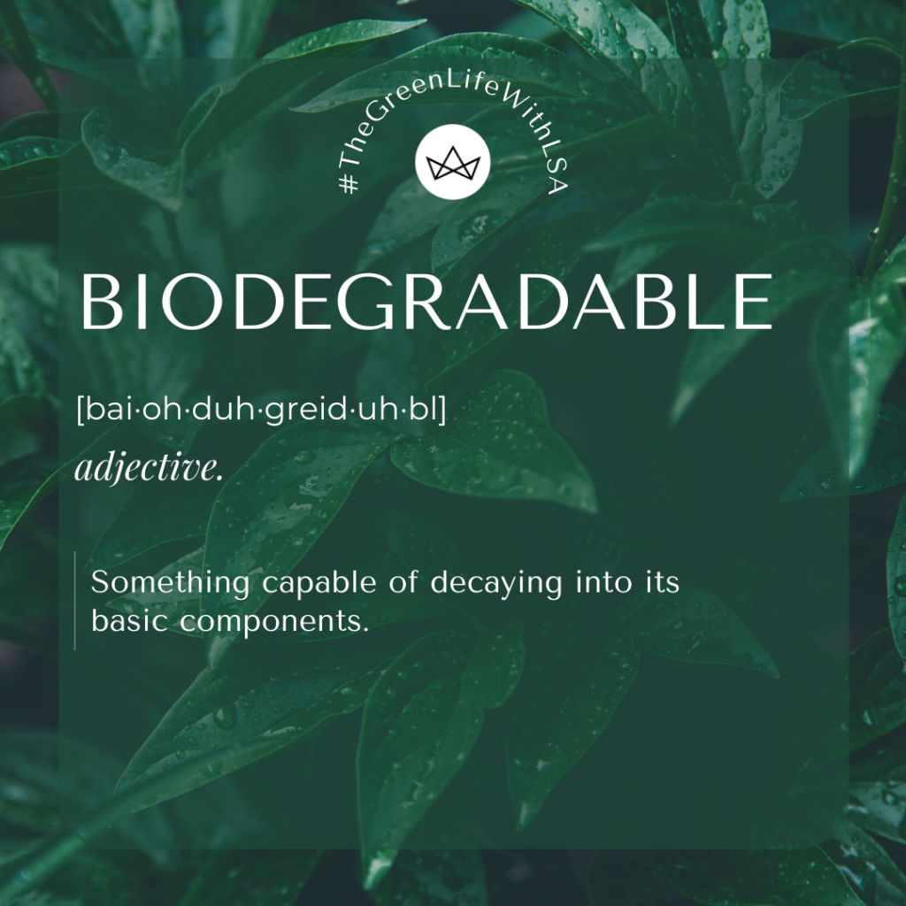 10 hottest sustainability words aspiring eco-warriors should know