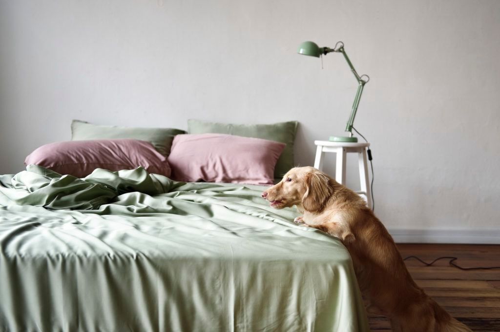 Protect the environment while you sleep with Sunday Bedding sustainable bed linens