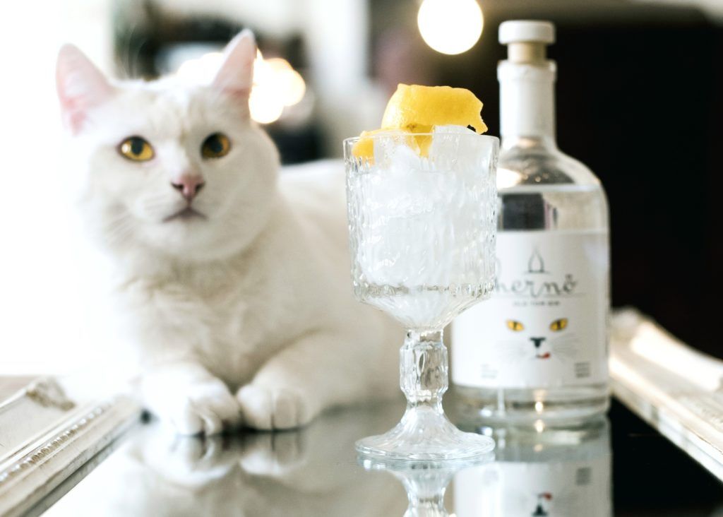 The best new-to-market gin and rum you can buy in September 2021