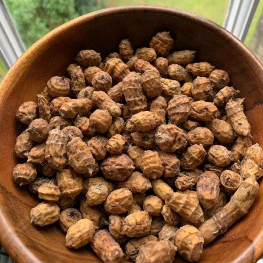 What are tiger nuts and why are they suddenly everywhere?