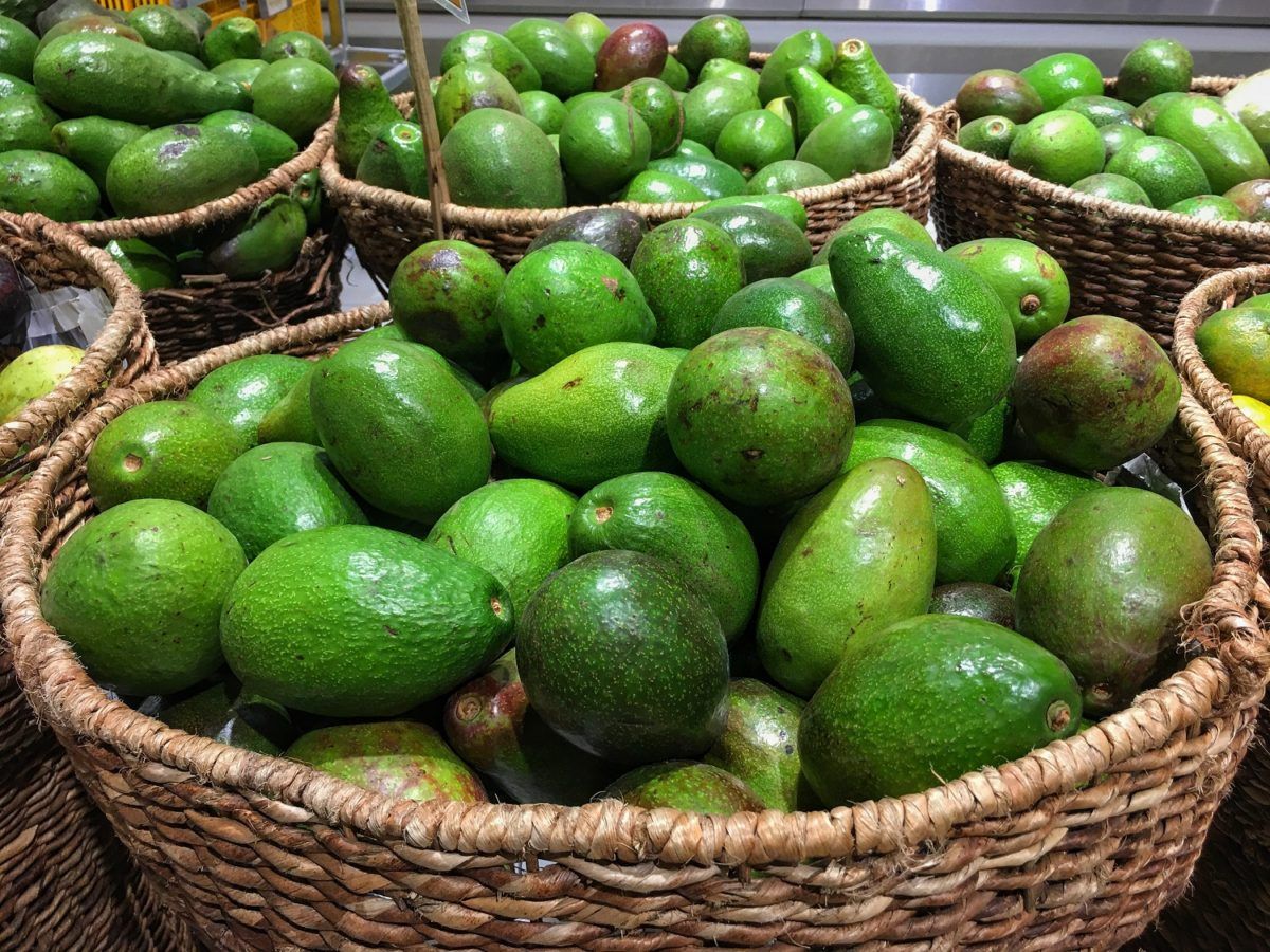 The environmental impact of avocados and alternatives that you can try