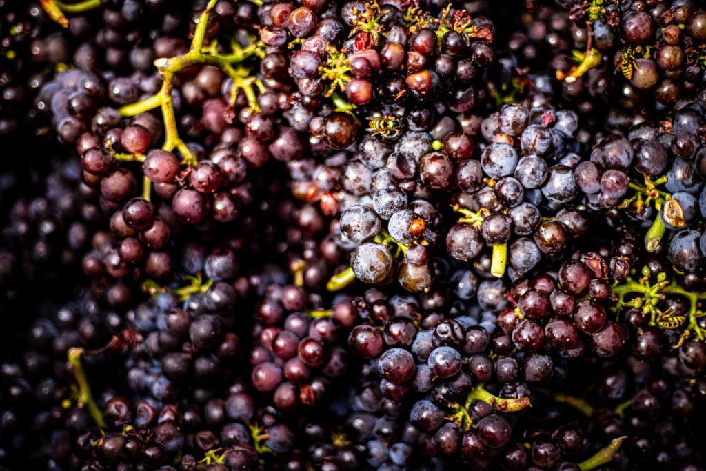 Burgundy village wines you should really be buying before they get unattainable