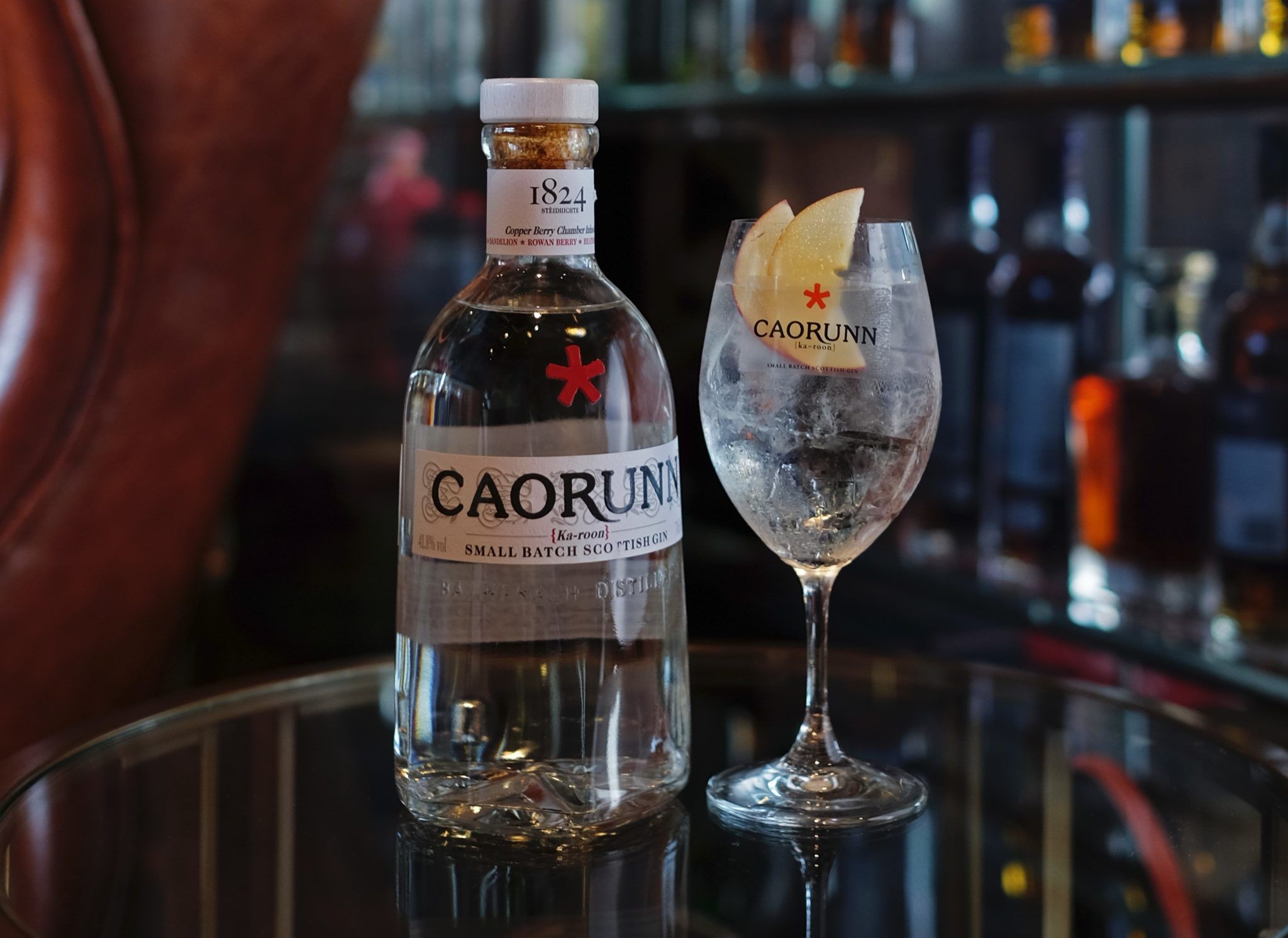 5 best craft gins you can buy in Malaysia for your G&T fix in 2022