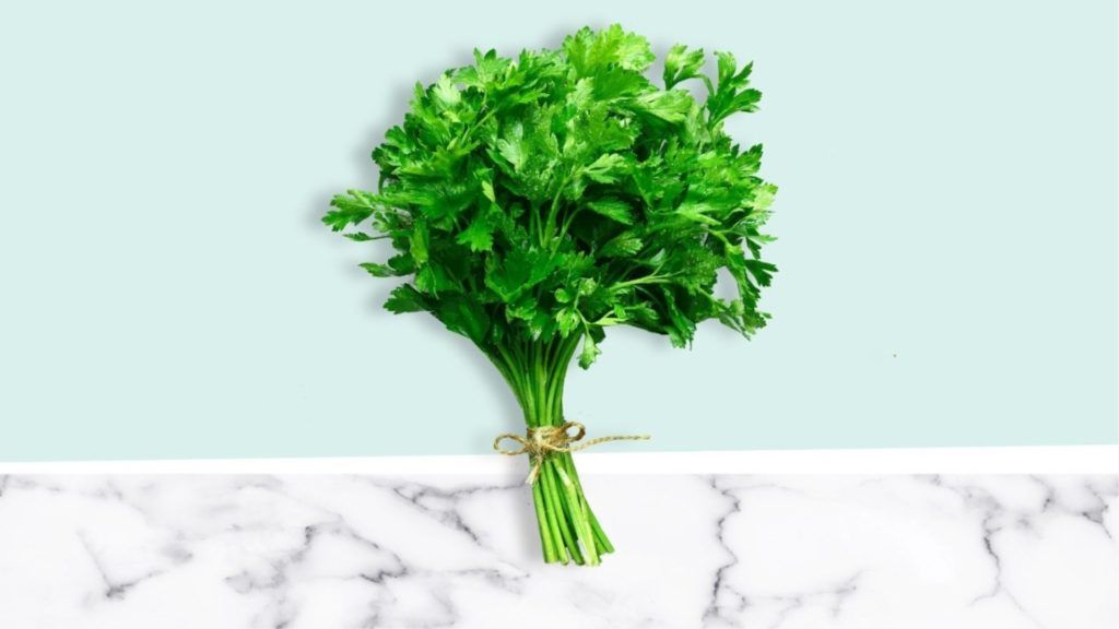 3 health benefits of cilantro, according to a nutritionist