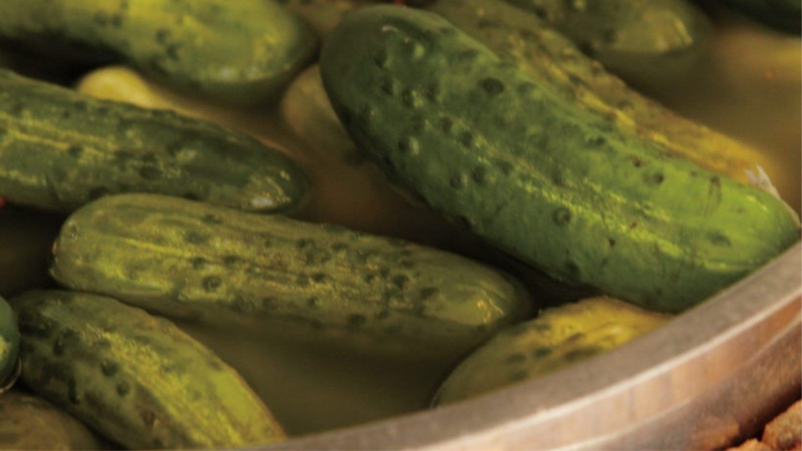 Are pickles cucumbers? Here’s what you need to know about the pickling process