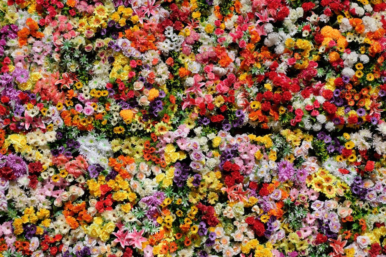 50 beautiful flowers in the world that will inspire your inner green thumb