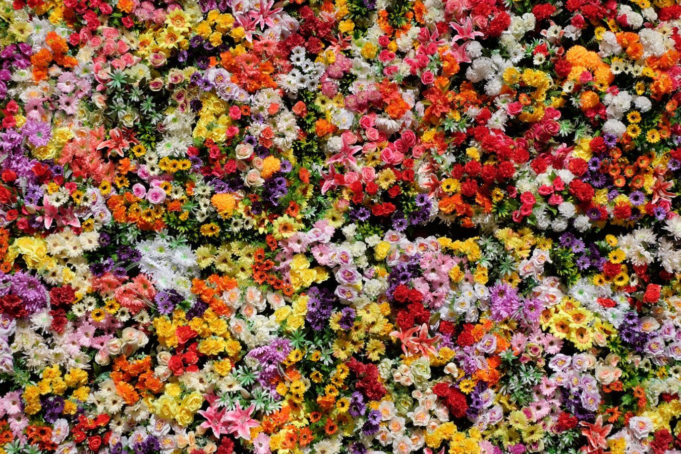 30 Prettiest Flowers in the World