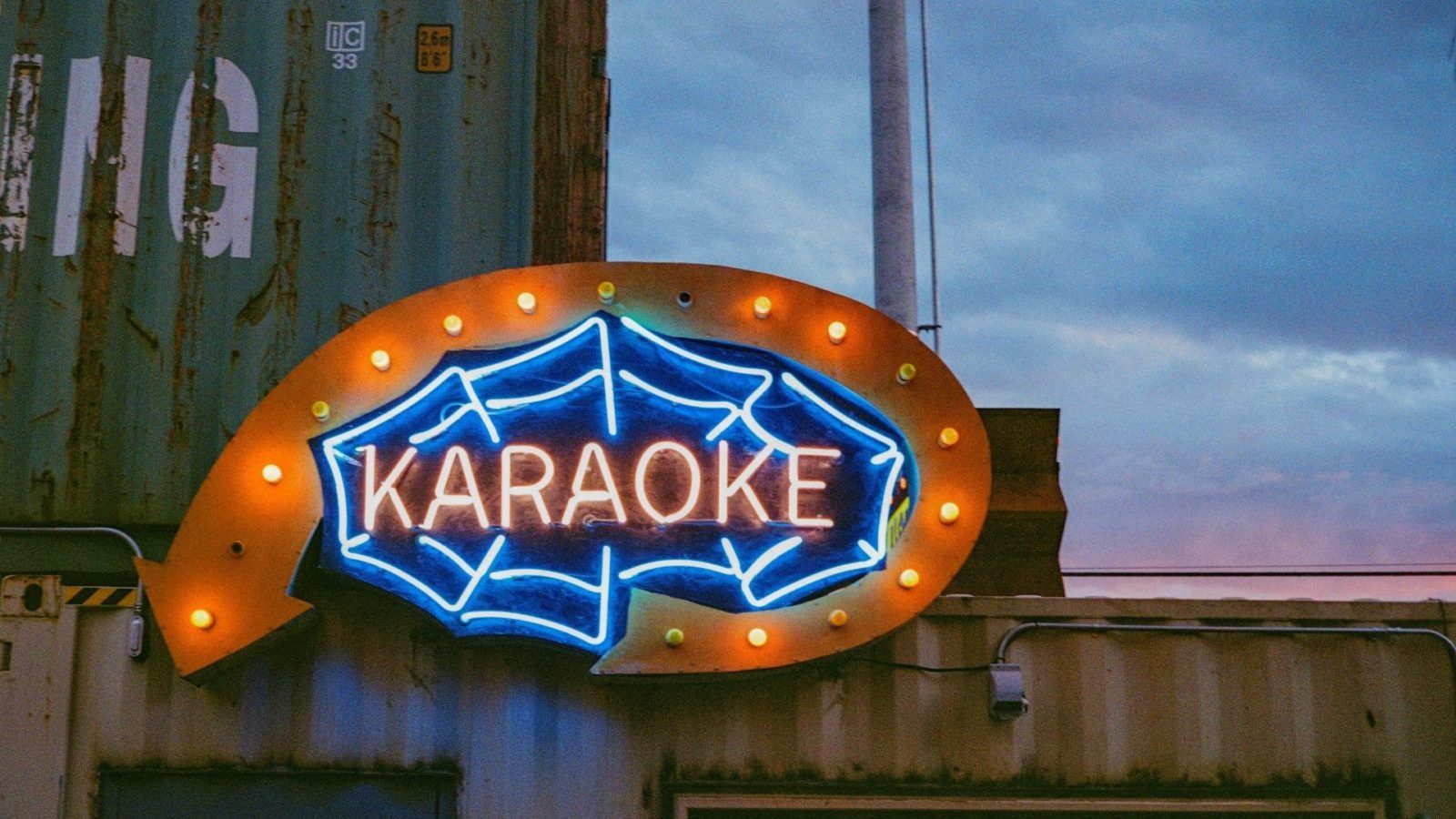 Sing along with 12 of the best karaoke apps for small parties