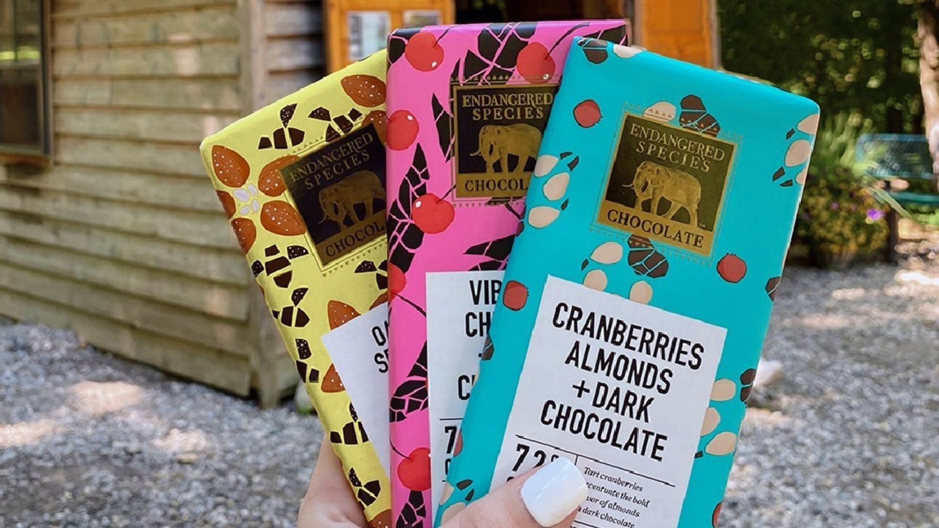 Sustainable chocolate: Endangered Species Chocolate 
