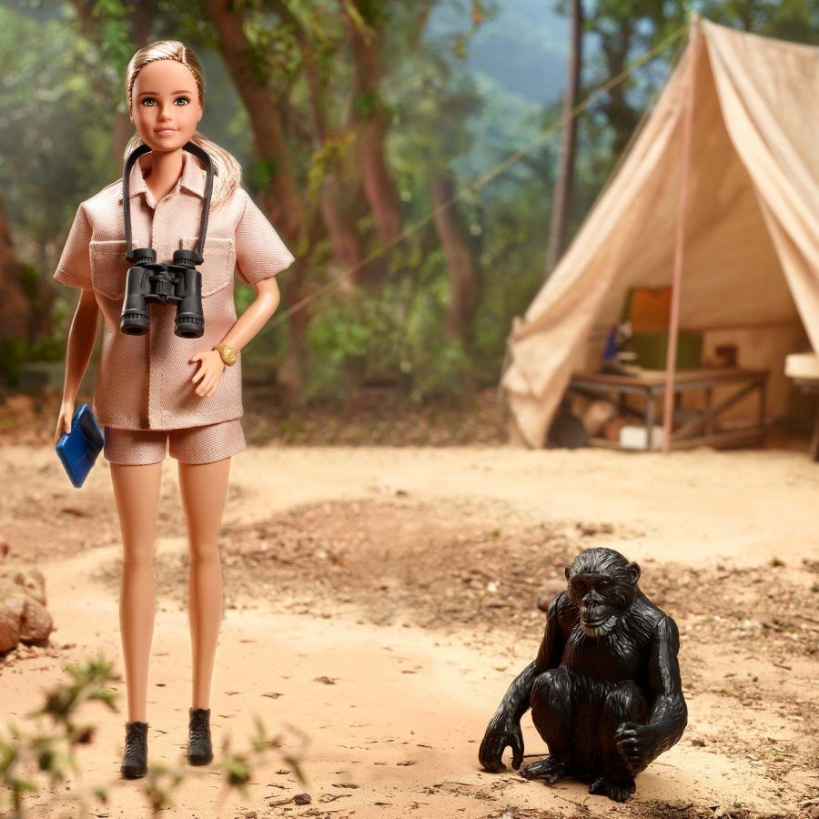 There is now a Jane Goodall Barbie doll modelled after the primatologist
