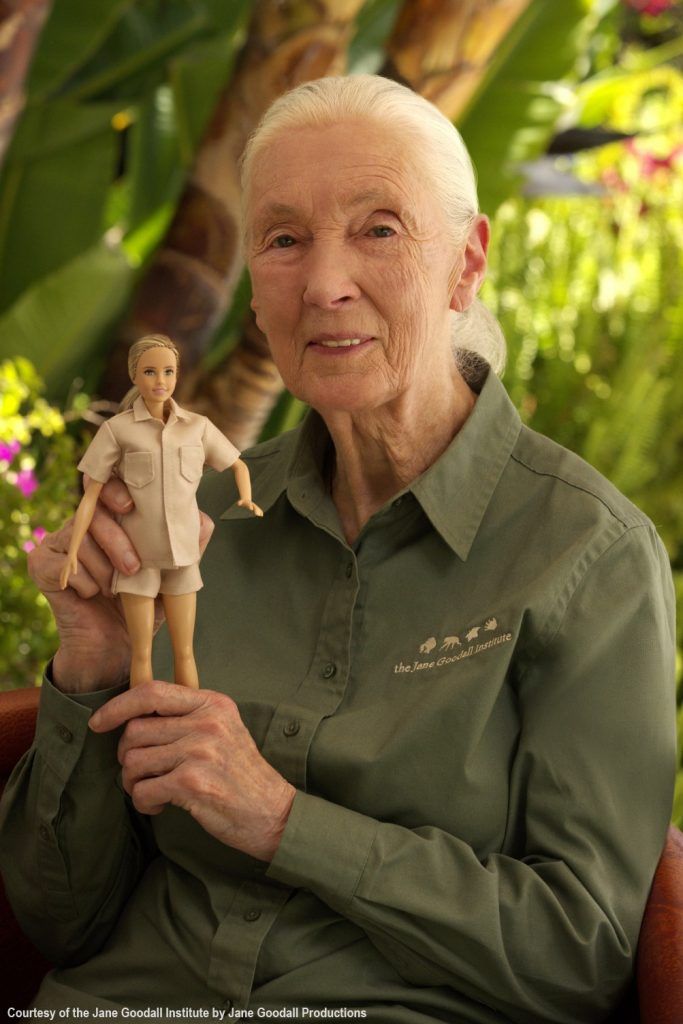 There is now a Jane Goodall Barbie doll modelled after the famed primatologist