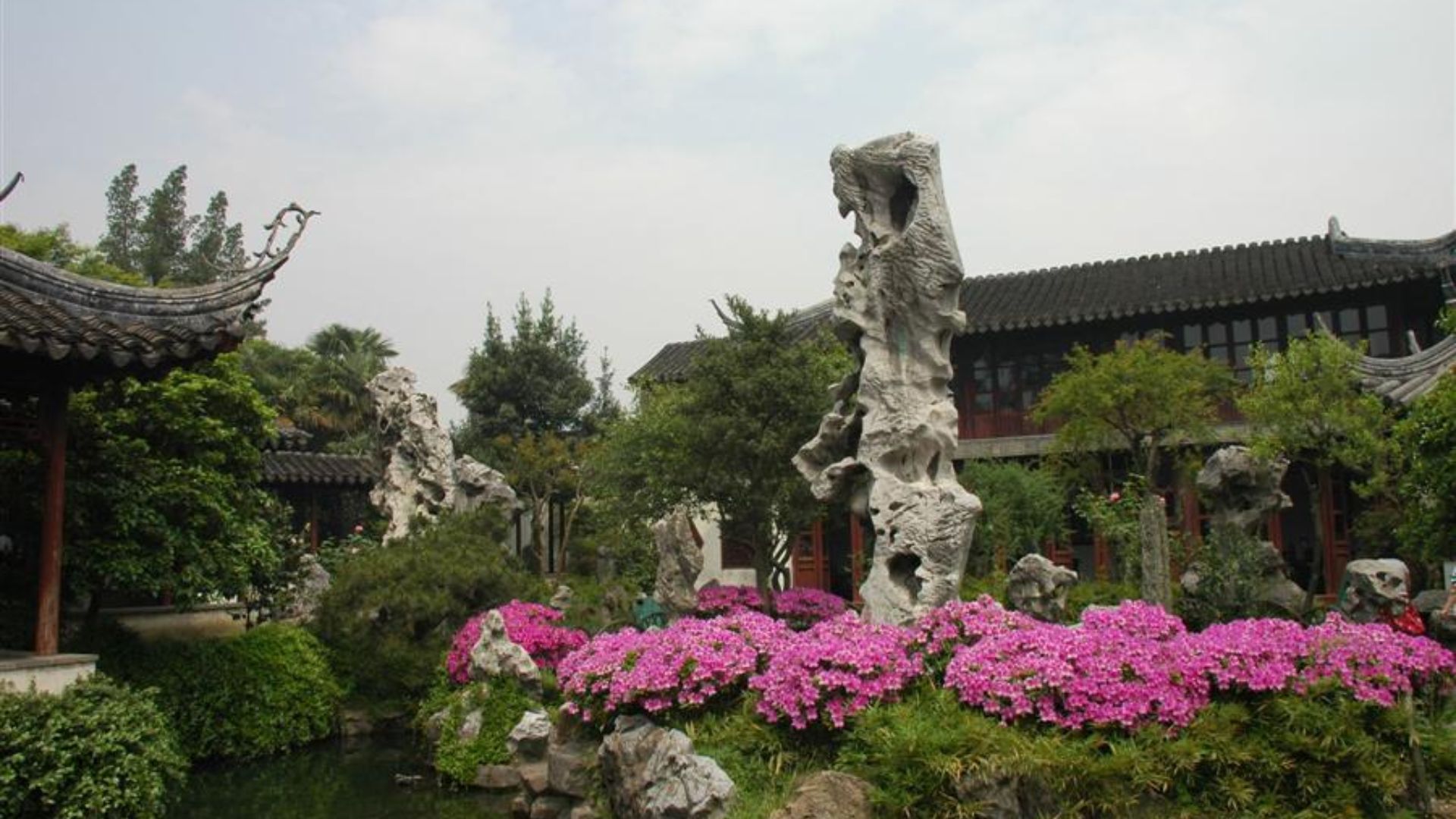 Сад скромного чиновника Сучжоу камни