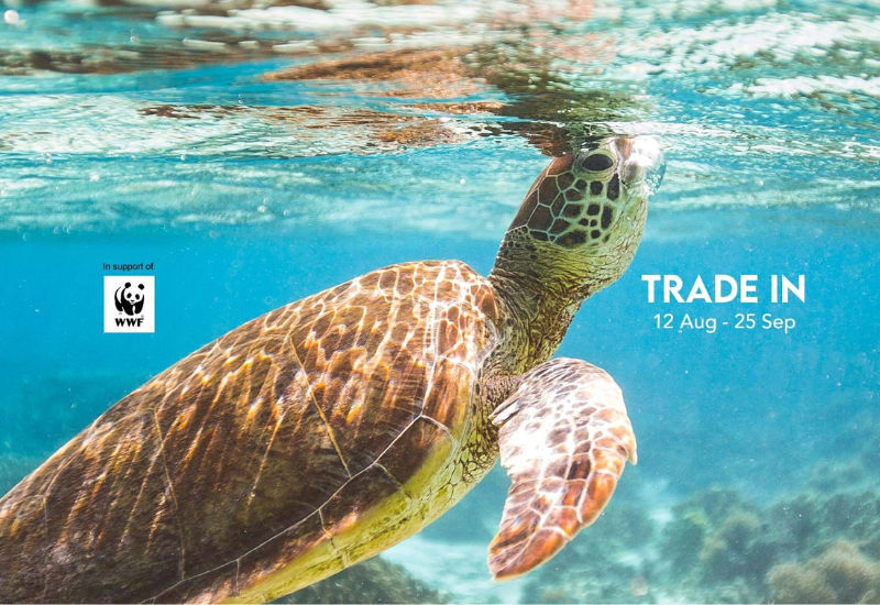 Ambert Khoo shares Samsonite's annual Luggage Tradein campaign