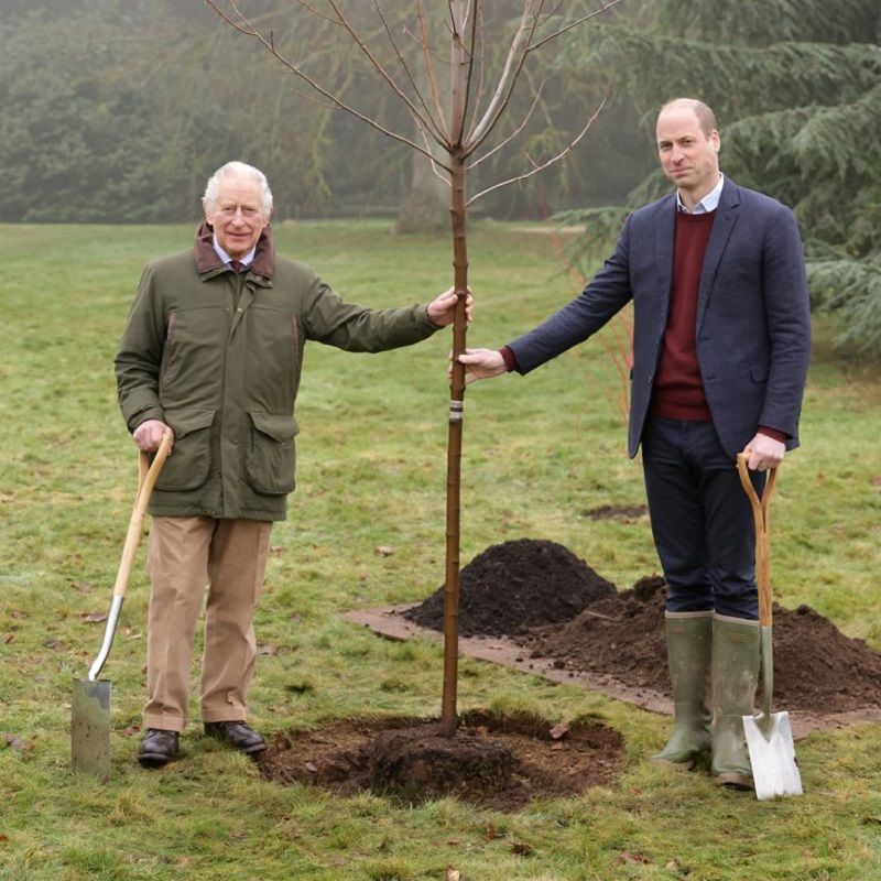A look at Britain’s royal line of succession to the throne