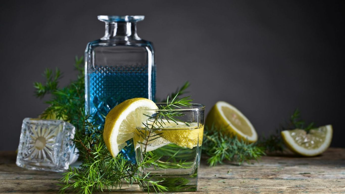 Shake up your cocktail game with these delicious gin and tonic recipes