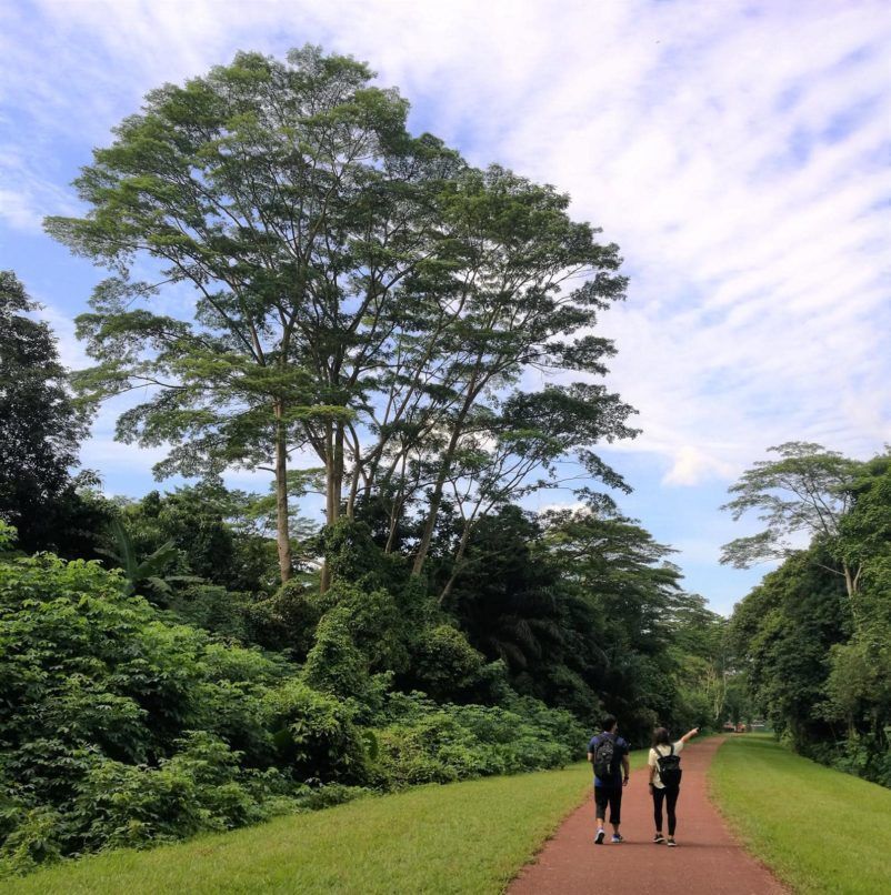 hiking trails Singapore food