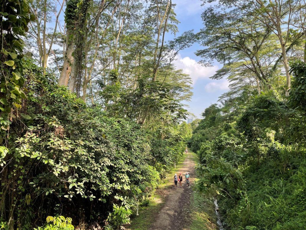 The ultimate list of hiking trails in Singapore that lead to good food