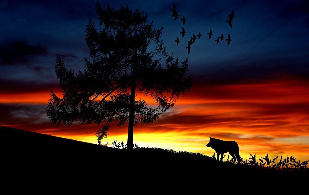 Wolf Moon 2023: What you need to know about the full moon