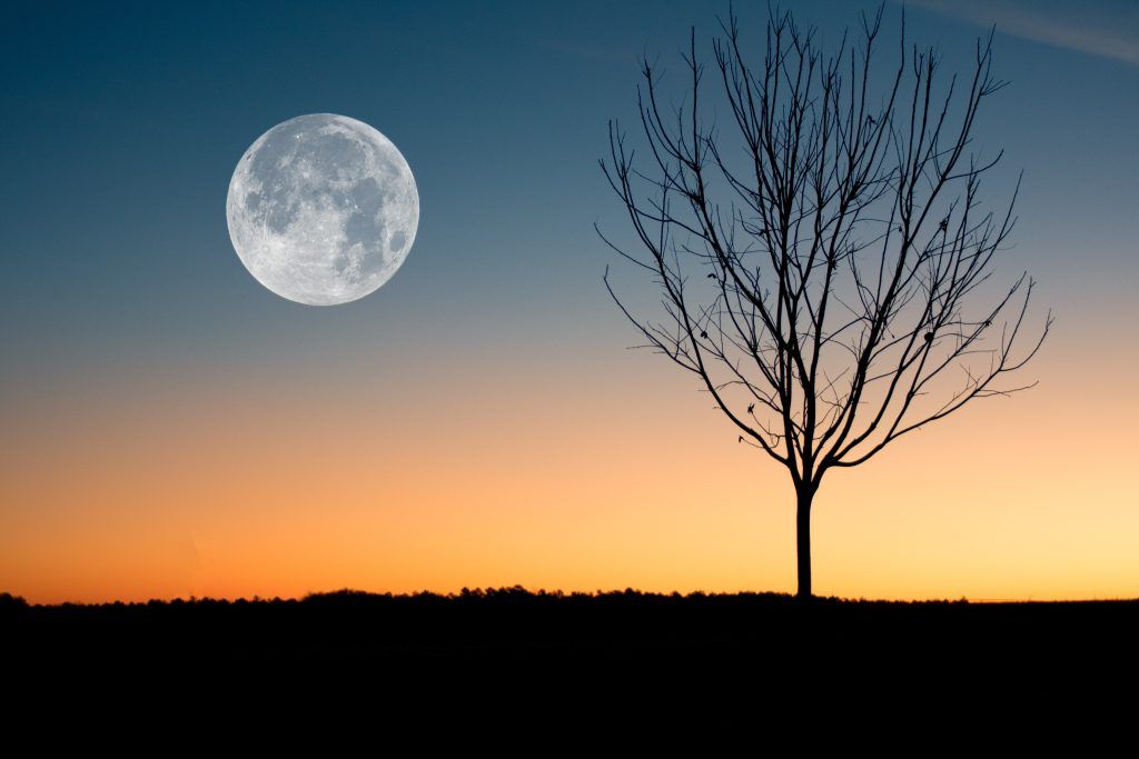 Wolf Moon 2023: What you need to know about the full moon