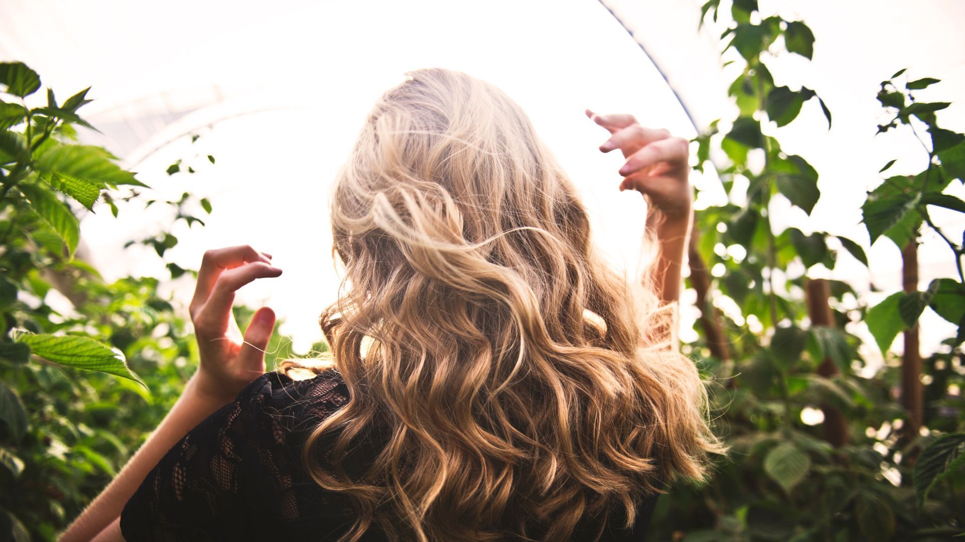 Rosemary oil- hair care