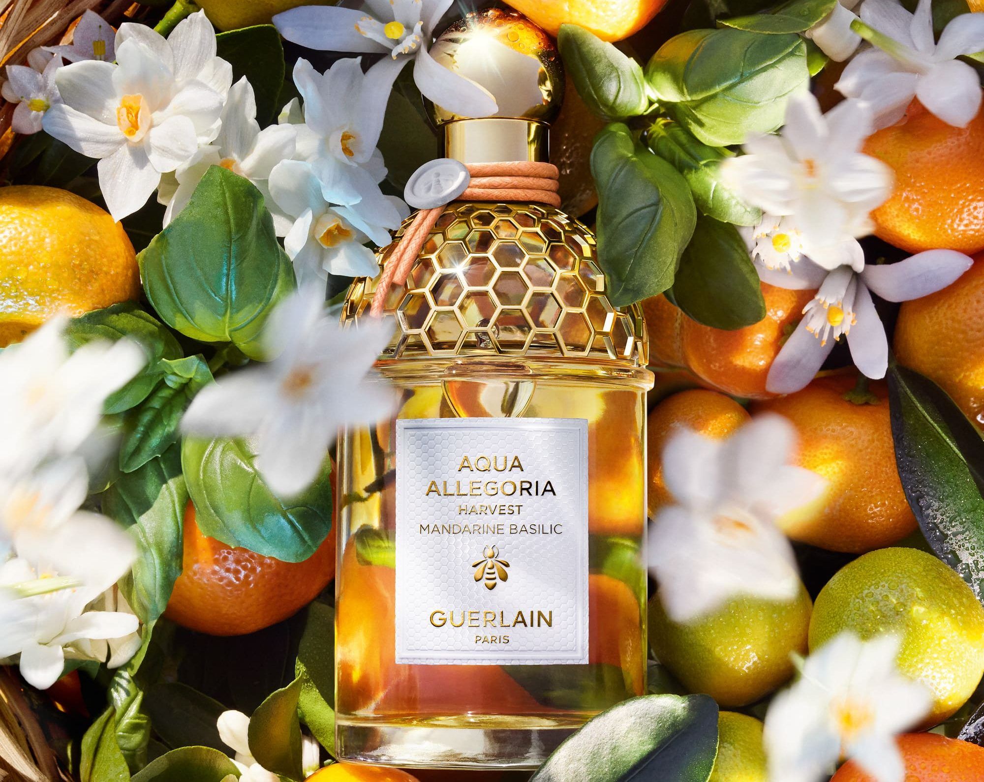 Here are 5 new fragrances to reset for Spring Summer 2023